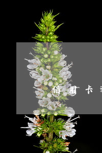 信用卡逾期找什么律師-欠信用卡如何找律師