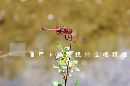 信用卡逾期找什么機構(信用卡 逾期 上門)