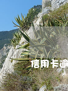 信用卡逾期找什么理由好(信用卡逾期理由匯總)