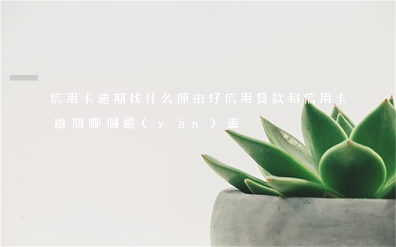 信用卡逾期找什么理由好(信用貸款和信用卡逾期哪個嚴(yán)重)
