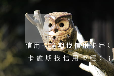信用卡逾期找信用卡經(jīng)理(信用卡逾期找信用卡經(jīng)理)