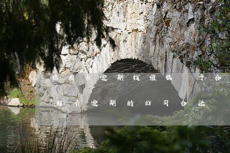 信用卡逾期找催收屬于合法嗎(替銀行催收信用卡逾期的公司合法嗎)