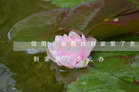 信用卡逾期找到家里了怎么办(信用卡逾期找到家里了怎么办)