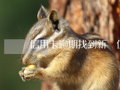 信用卡逾期找到新單位