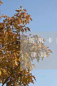 信用卡逾期找到本地律師-欠信用卡如何找律師