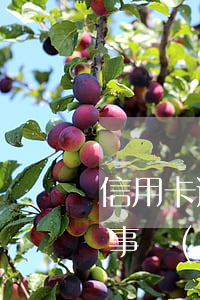 信用卡逾期找到本地律師(信用卡逾期被律師事務(wù)所通知是真的嗎)