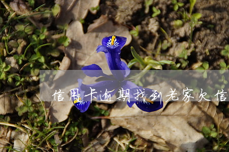 信用卡逾期找到老家(欠信用卡去家里走访么)