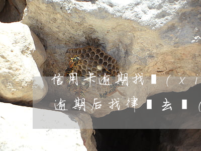 信用卡逾期找協(xié)商員收費(信用卡逾期后找律師去協(xié)商有用嗎?)