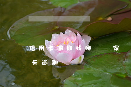 信用卡逾期找哪個國家機構(怎么能查出信用卡逾期)