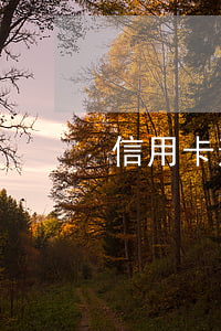 信用卡逾期找單位合法么(有信用卡逾期的嗎)