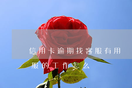 信用卡逾期找客服有用嗎(銀行信用卡逾期客服的工作怎么樣)