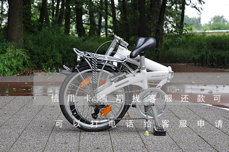 信用卡逾期找客服还款可以吗(还不上信用卡可以打电话给客服申请分期吗)