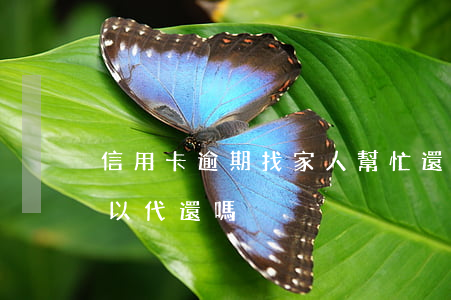 信用卡逾期找家人幫忙還款(逾期的信用卡可以代還嗎)