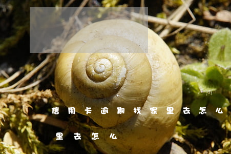 信用卡逾期找家里去怎么辦(信用卡逾期找家里去怎么辦)