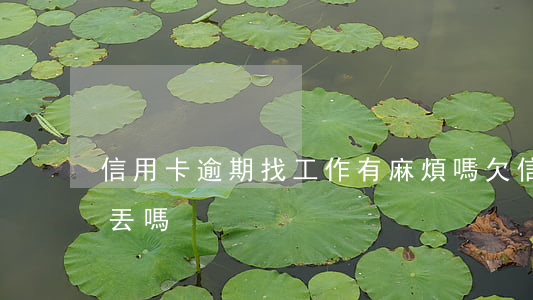 信用卡逾期找工作有麻煩嗎(欠信用卡工作會丟嗎)