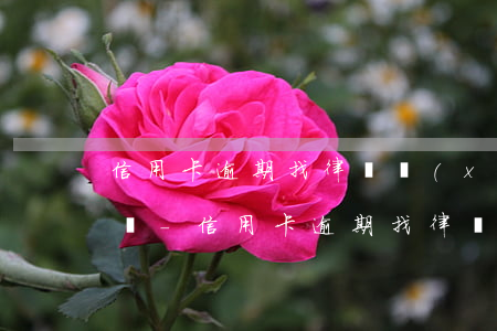 信用卡逾期找律師協(xié)商需要多少錢-信用卡逾期找律師協(xié)商需要多少錢呢