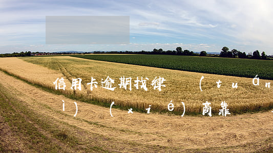 信用卡逾期找律師團(tuán)隊(duì)協(xié)商靠譜嗎(欠信用卡有律師事務(wù)所找我)