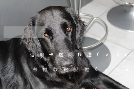 信用卡逾期找擔(dān)保人分期 朋友分期付款逾期擔(dān)保人會咋樣