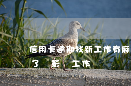 信用卡逾期找新工作有麻煩嗎(我信用卡逾期了會影響工作嗎)