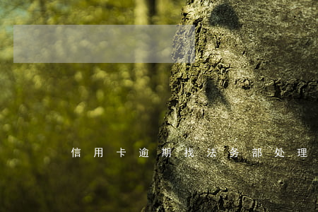 信用卡逾期找法务部(处理逾期信用卡)