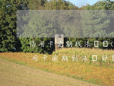 信用卡逾期找法務協(xié)商靠譜嗎(信用卡逾期到法務部還能協(xié)商嗎)