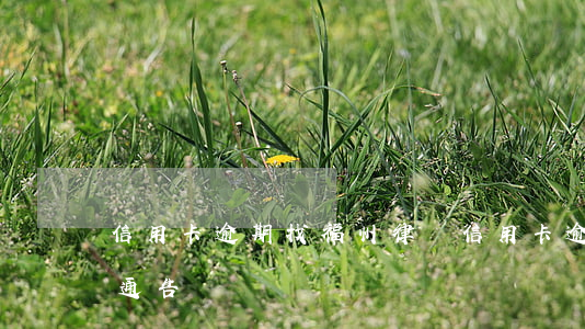 信用卡逾期找福州律師(信用卡 逾期 收到 律師 通告)