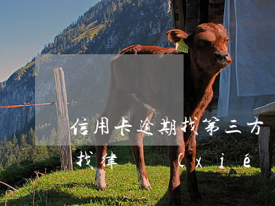 信用卡逾期找第三方協(xié)商后果-找律師協(xié)商信用卡逾期