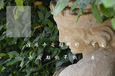 信用卡逾期找行長可以辦房貸嗎(有一個信用卡逾期能不能辦房貸)