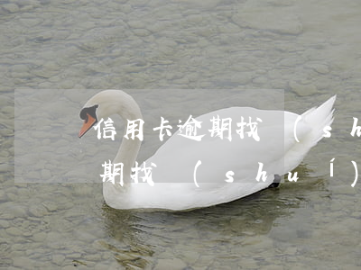 信用卡逾期找誰(shuí)投訴(信用卡逾期找誰(shuí)投訴最有效)