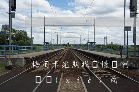 信用卡逾期找誰借錢啊-欠信用卡找哪個部門協(xié)商