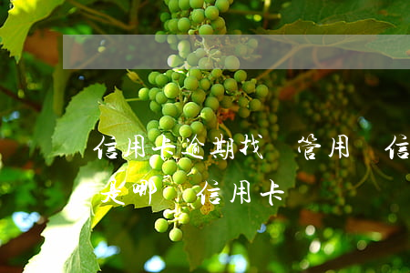 信用卡逾期找誰管用(說信用卡有逾期,不知道是哪張信用卡)