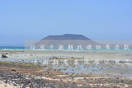 信用卡逾期找谁协商还款贫困证明-还信用卡逾期需要困难证明怎么开