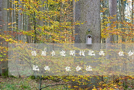 信用卡逾期找配偶單位合法嗎(信用卡逾期找配偶單位合法嗎)