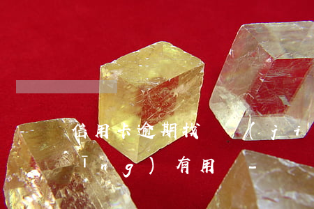信用卡逾期找銀監(jiān)局反應(yīng)有用嗎-銀監(jiān)會(huì)投訴信用卡逾期上征信