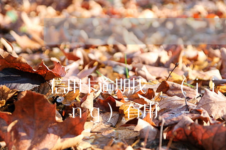 信用卡逾期找銀監(jiān)局反應(yīng)有用嗎-銀監(jiān)會投訴信用卡逾期上征信