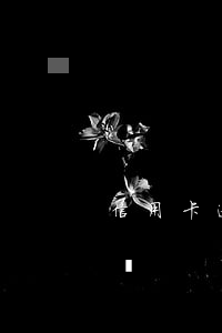 信用卡逾期找銀行協(xié)商不了怎么辦