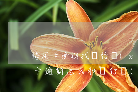 信用卡逾期找銀行協(xié)商嗎-銀行卡逾期怎么和銀行協(xié)商