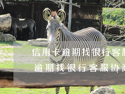 信用卡逾期找银行客服协商可以吗-信用卡逾期找银行客服协商可以吗