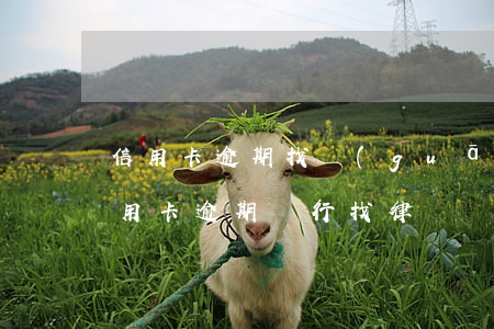 信用卡逾期找關(guān)系能貸款嗎(信用卡逾期銀行找律師來(lái)了接下來(lái)會(huì)怎么樣)