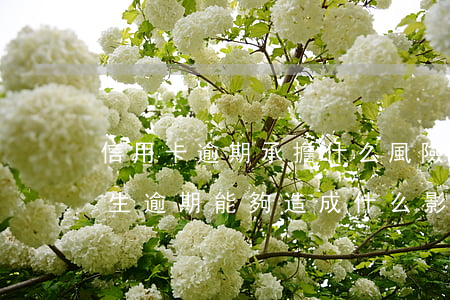 信用卡逾期承擔什么風險(信用卡發(fā)生逾期能夠造成什么影響)