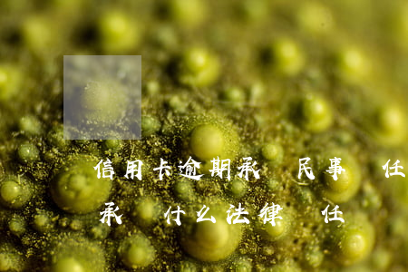 信用卡逾期承擔民事責任 逾期還信用卡需要承擔什么法律責任