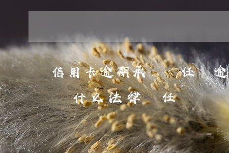 信用卡逾期承擔責任嗎(逾期還信用卡需要承擔什么法律責任)