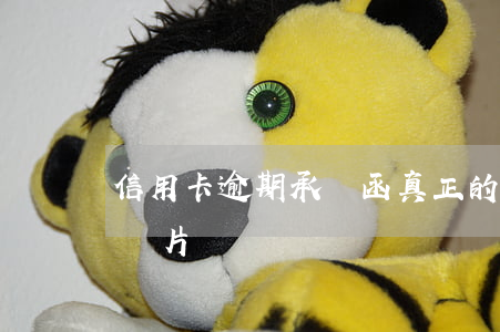 信用卡逾期承諾函(真正的信用卡逾期通告函圖片)