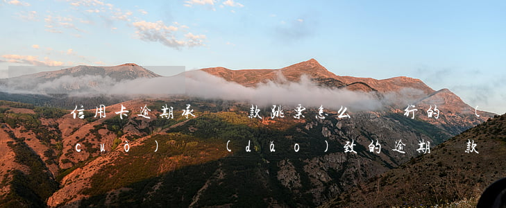信用卡逾期承諾還款跳票怎么辦(銀行的錯(cuò)誤導(dǎo)致的逾期還款記錄申請(qǐng)消除)
