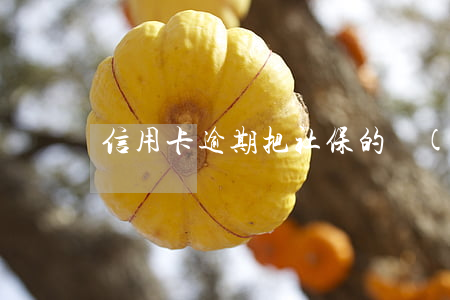 信用卡逾期把社保的錢(qián)扣走了