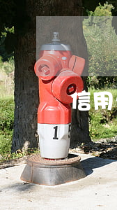 信用卡逾期把社保的钱扣走了