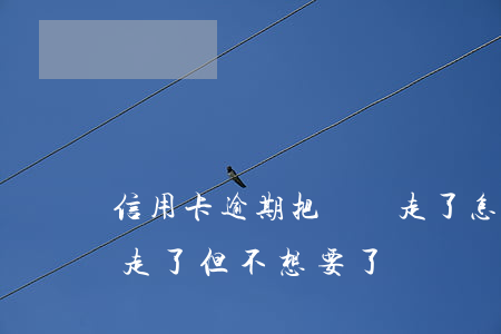 信用卡逾期把車開走了怎么辦(車逾期了被開走了但不想要了)