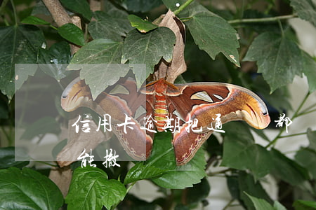 信用卡逾期把通訊錄都刪掉(信用卡逾期能不能撤銷)