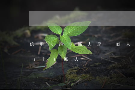 信用卡逾期抓人是嚇唬人嗎(欠信用卡會(huì)抓人嗎)