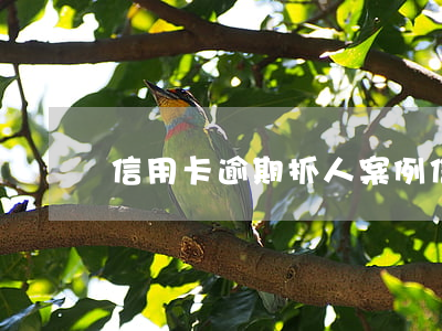 信用卡逾期抓人案例(信用卡逾期抓人案例視頻)